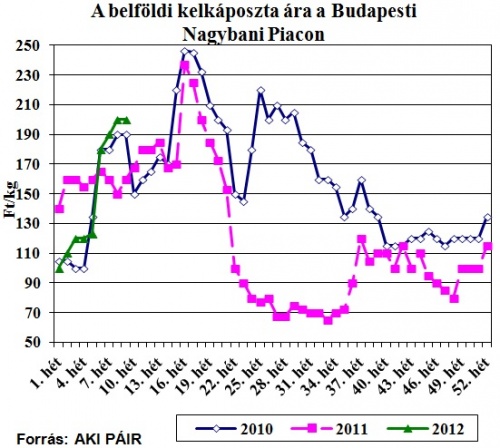 belfoldi-kaposzta