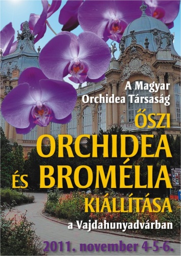 orchidea-kiallitas