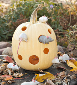 Kreatív Halloween: tökmintákat mutatunk