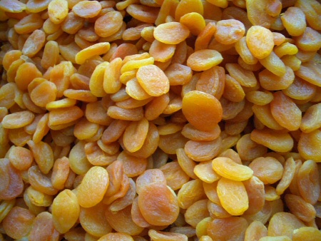 Kép