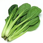 Kép