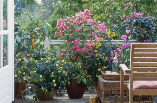 mediterran_balkon mediterran_balkon