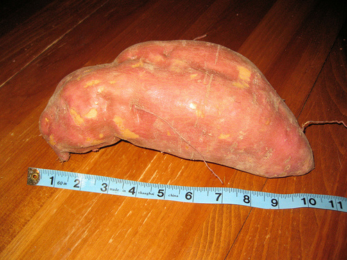 Kép
