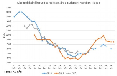 koktelpari_36het koktelpari_36het