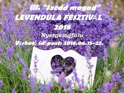 nyergesujfalu_levendula nyergesujfalu_levendula