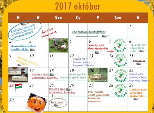 oktober_okokert oktober_okokert