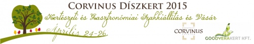 corvinus-diszkert-2015