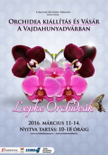 Orchidea kiállítás és vásár