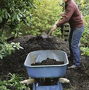 Hogyan használd a trágyát a kertedben? Fontos tudnivalók