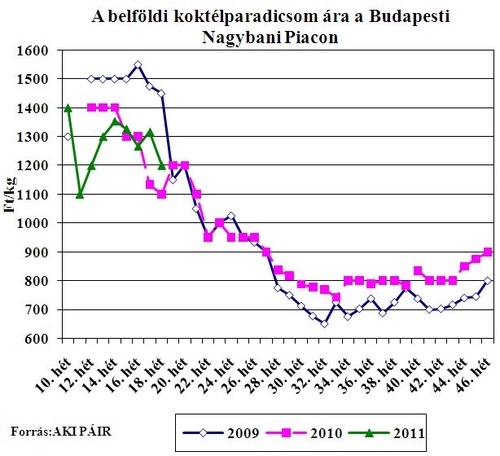 koktelparadicsom