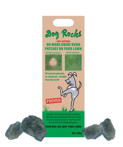 dog-rocks-kovek