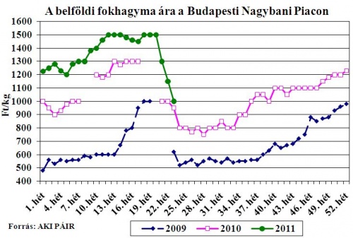 fokhagyma