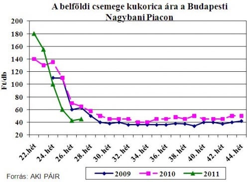 csemege-kukorica