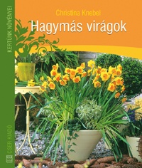 hagymas-viragok-borito