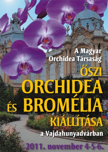 orchidea-bromelia-kiallitas-2011