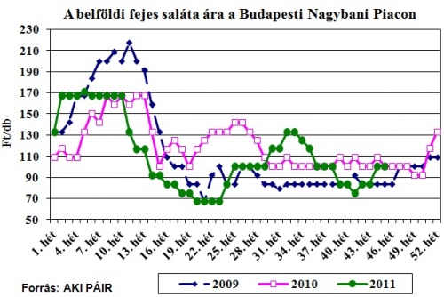 fejes-salata