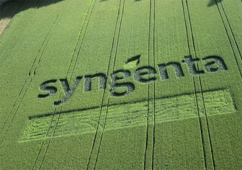 syngenta-logo