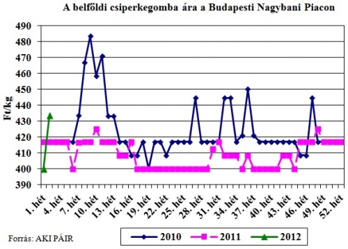 csiperkegomba