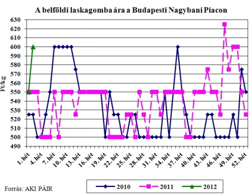 laskagomba