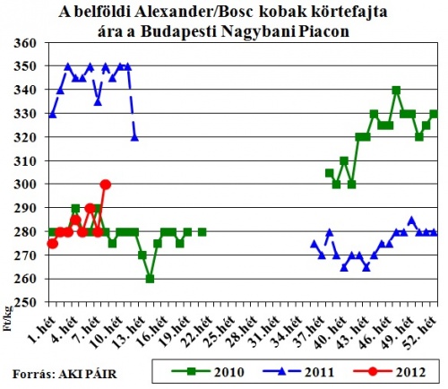 alexander-bosc-korte