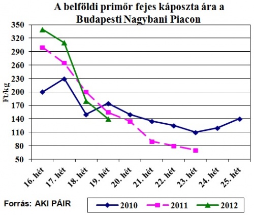 primor-fejes-kaposzta