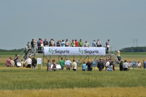 syngenta-szer-show