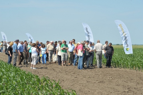 syngenta-szer-show