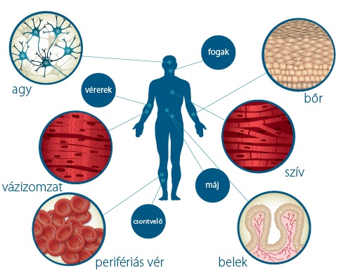 lipodisztrófiában cukorbetegség kezelésében