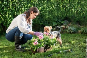 19 tipp, hogyan kertészkedjünk együtt a kutyánkkal