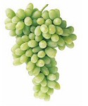Milyen fehér csemegeszőlőt ültessünk?