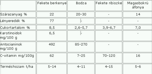Berkenye adatai