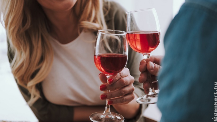 Hogyan válasszunk borokat, ha otthoni borkóstolásra vágyunk?