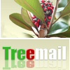 Treemail.hu: dísznövények postán