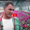Budapest virágai - Kisfilm a fővárosi kertészek mindennapjaiból