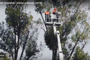 Városi erdészek - Kisfilm a fővárosi kertészek mindennapjaiból