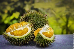 Egzotikus gyümölcs a durián, csak ne lenne olyan büdös