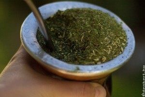Maté tea: egy igazi vitaminbomba, ami felpörget
