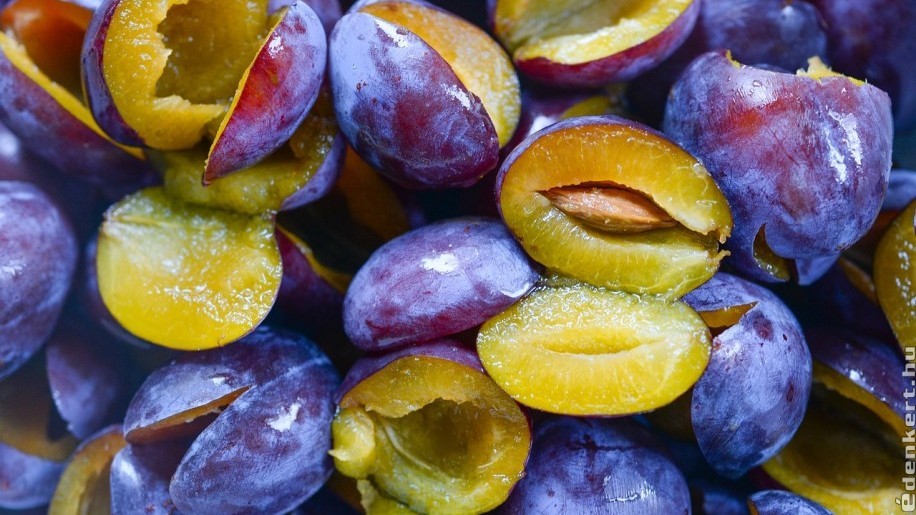 Őszi gyümölcsbefőzés naspolyából, szőlőből, szilvából