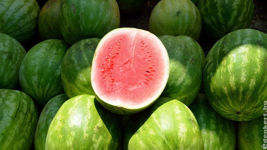 8 tipp, hogy a legédesebb görögdinnyét válasszuk ki