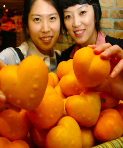 seoul-narancs