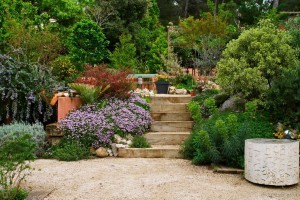 Lucile virágai-egy inspiráló díszkert Provence-ból
