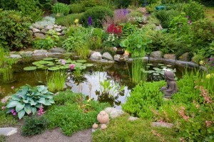 A víz ereje: 5 ötletes megoldás, amivel oázissá varázsolhatjuk a kertet!