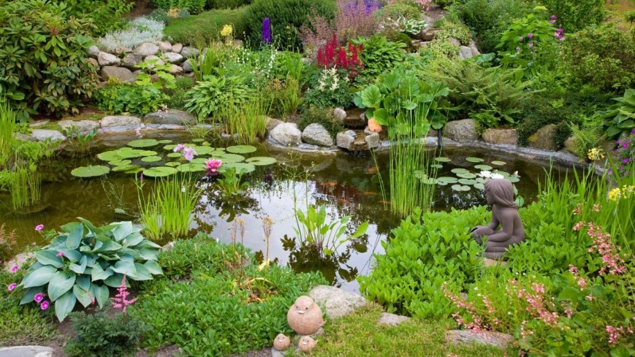 A víz ereje: 5 ötletes megoldás, amivel oázissá varázsolhatjuk a kertet!