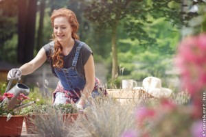 7 lépés, hogy varázslatos legyen a kerted a nyári hőségben is