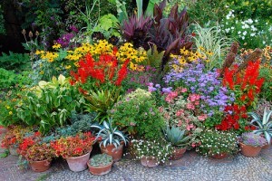 Alakítsunk ki könnyen átrendezhető kerteket! - 2. rész