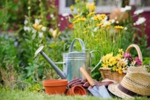 15 tipp a természetközeli kert kialakításához