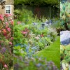Variációk nyári kertre: az Oázis Kertészet 2019-es ajánlója