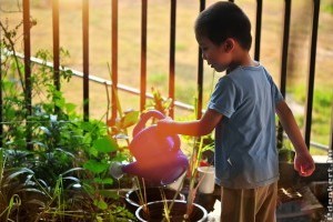 5 tipp, hogy gyerekbarát legyen a kertünk!
