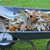 Mi legyen a kerti hulladékkal? Egy ágdaráló vagy komposztaprító sokat segíthet!