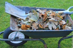 Mi legyen a kerti hulladékkal? Egy ágdaráló vagy komposztaprító sokat segíthet!